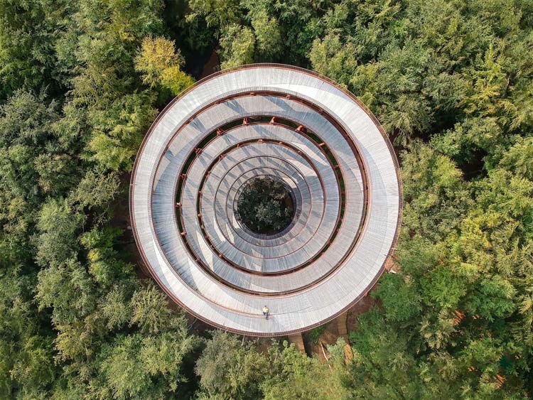 Aerial view of the Camp Adventure Observation Tower, Gisselfeld Klosters Forest, Denmark by EFFEKT shot by Marco de Groot / ©archphotoawards.com