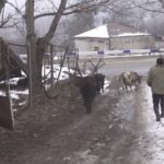 Ադրբեջանցի զինվորները Շուռնուխի կեսը պահանջում են. գյուղապետ