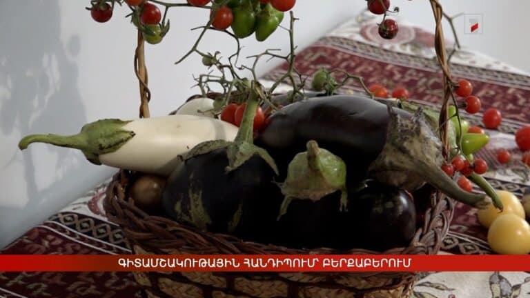 Բերքաբերում ներկայացված սպիտակ և մանուշակագույն սմբուկները