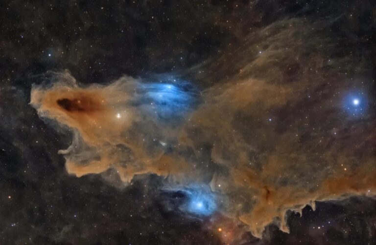 Շնաձուկ միգամածությունը Ալի Ալոբայդլիի «Լուռ գիշատիչը» լուսանկարում