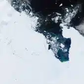 Թուեյթս սառցադաշտը Անտարկտիդայում՝ Sentinel-2-ի 2026 թվականի փետրվարի պատկերում